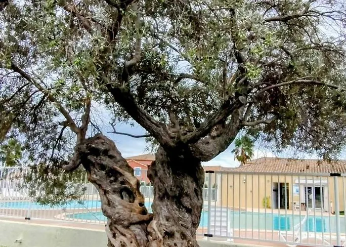 Prázdninový dům Maison Cosy Au Bord Du Canal, Piscine Et Parking *